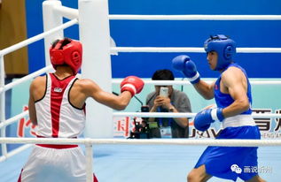 忻州圓滿承辦青運(yùn)會拳擊賽事 展現(xiàn)拳擊運(yùn)動組織新風(fēng)貌